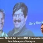 Descubre Cómo el Nobel del microRNA Revolucionó la Ciencia y la Medicina para Siempre